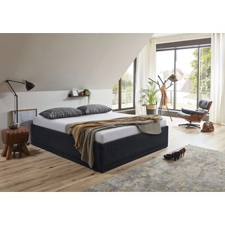 Polsterbett WESTFALIA SCHLAFKOMFORT "Texel" Betten Gr. Microfaser, Liegefläche B/L: 200 cm x 200 cm Betthöhe: 42 cm, kein Härtegrad, ohne Matratze, schwarz Polsterbett Polsterbetten ohne Bettkasten Betten Komforthöhe mit Zierkissen, bei Ausführung Matratze