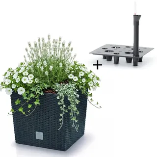 Prosperplast Blumentopf 26,6 26,2 x 26,2 x 26,6 cm Anthrazit