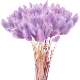 120 Pcs Getrocknetes Pampasgras,Lagurus Getrocknet,Trockenblumen Bodenvase,Natürlich Pampasgras Blumenstrauß,Trockenblumen Blumenstrauß Deko, Künstlich Groß Trockenblumen,Trockenblumen Pampasgras
