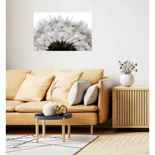 Queence Wandsticker QUEENCE "Pusteblume", weiß, B:120cm H:80cm T:0,1cm, Folie, Wandtattoos, Selbstklebend, kinderleichte Anbringung
