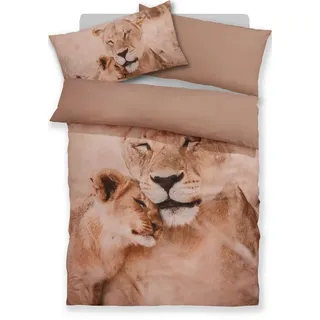 OTTO home Bettwäsche Lyki, Microfaser, 2 teilig, ab Größe 135x200 cm, 100% Polyester, Katze, Pferd, Löwe, Pinguin braun