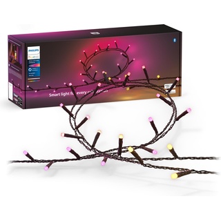 Philips, Lichterkette, Hue Festavia EU Stecker (40 m)
