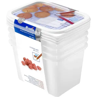 Rotho Domino Gefrierdosen mit Deckel 4er-Set je 1 Liter stapelbar Weiß | Rotho Aufbewahrungsbox, 4 stapelbare Gefrierboxen mit Deckel, beschreibbares Motiv, lebensmittelechter PP-Kunststoff, Weiß