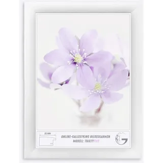 Online-GalleryKing OGK Thirtyfive Bilderrahmen 35x25 cm Weiß Matt mit MDF Holzrahmen vollummantelt, entspiegeltes Anti-Reflex Kunstglas und HDF Rückwand - Fotorahmen für Hoch- und Querformat