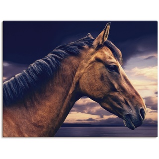 Wandbild ARTLAND "Pferd am Meer" Bilder Gr. B/H: 80 cm x 60 cm, Leinwandbild, braun Bilder als Leinwandbild, Wandaufkleber oder Poster in versch. Größen