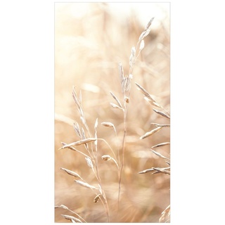 Duschrückwand - Gräser im Sonnenschein, Material:Hartfolie Smart Glanz 0.32 mm, Größe HxB:1-teilig 190x120 cm