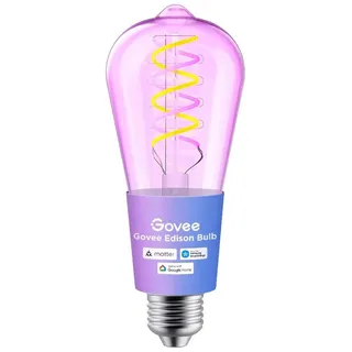 Govee Smart Edison Glühbirne E27, 500lm RGBWW LED Lampe ST64, 1 Stück