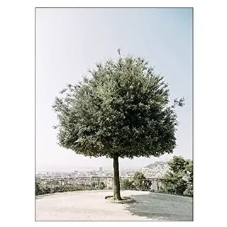 ABCWARRT Nordic City Landschaft Bogen Leinwand Malerei Eukalyptus Bild Blatt Poster Grüner Baum Und Auto Malerei Wandkunst Für Wohnkultur (30 * 40cm Kein Rahmen,6)
