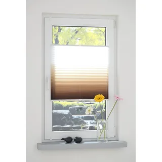 Liedeco® Klemmfix Plissee Farbverlauf verspanntmit Klemmträger/Breite x Höhe: 100x130 cm/Farbe: Braun/Plissee farbig/lichtdurchlässig verstellbar/Innen-Montage ohne Bohren / 123 montiert