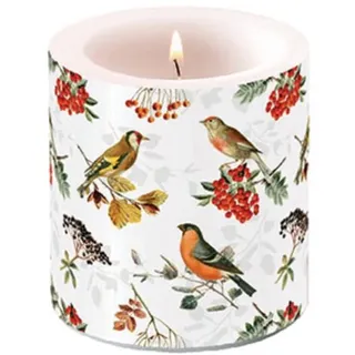 Ambiente Kerze Stumpenkerze Wachswindlicht 9 cm hoch Brenndauer ca 35h Vögel und Beeren Dekorationskerze Serie autumn birds