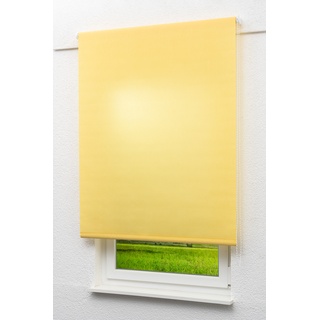 Lysel Outlet - Basisrollo Tageslicht Pastellgelb, (B x H) 62.50cm x 190cm in gelb/pastellgelb