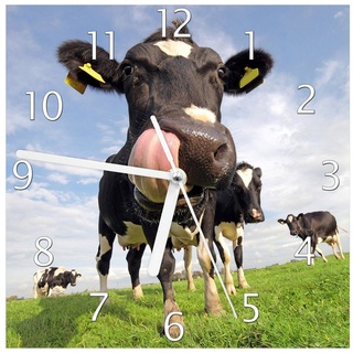 Wallario Wanduhr Lustige Kuh auf der Weide mit herausgestreckter Zunge (Glasuhr) grün 20 cm x 20 cm