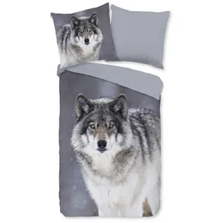 good morning Bettwäsche Flanell Bettwäsche 155 X 220 cm + 1- 80 X 80 cm Wolfie grau wolf, Baumwolle, 2 teilig, bettwäsche 155x220 baumwolle sale warm weihnachten 155x220 bettbezug grau
