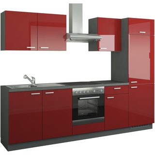 Küchenzeile mit Elektrogeräten  Aachen ¦ rot