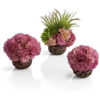 biOrb Aquariendeko Korallenball-Set 8 x 8 x 9 cm