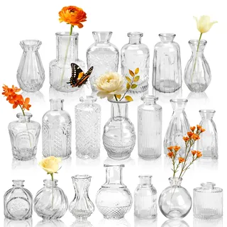 Der Rose 20 Stück Transparente Kleine Vasen Glasvasen für Tischdeko Mini Vintage Vasen Set für Hochzeitsdeko Party Deko Geschenk