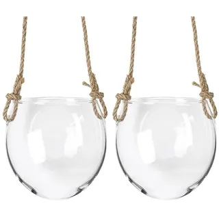 Hydrokultur-Hängevase, Glasvase zur Wandmontage, Pflanzenbehälter, Blumenarrangement, Flasche, Wandbehang, Wasserpflanzenbehälter, Heimdekoration (2 Stück)