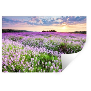 MuchoWow Wandsticker Lavendel - Blumen - Sonnenuntergang - Lila - Wiese (1 St), Wandaufkleber, Wandtattoo, Selbstklebend, Wohnzimmer, Schlafzimmer bunt 60 cm x 40 cm x 0.1 cm
