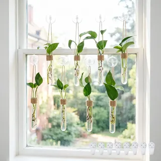 Bourske Reagenzglas Hängevase 8 Stück, Vermehrungsstation mit Saugnäpfen & rückstandsfrei Nägeln, Hydrokultur Terrarium Planter für Blumen und Zimmerpflanzen, Wand und Fensterdeko aus Acryl