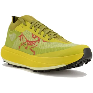 Arcteryx Sylan Herren Pro Grün 42.2/3