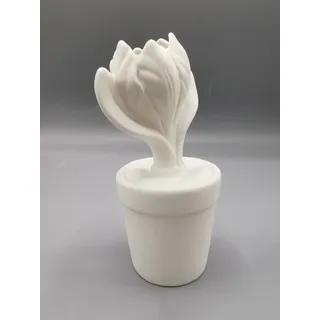 Hutschenreuther biskuit-Vase - Green Garden - Tulpe im Topf