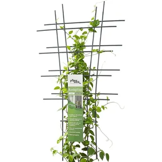 Pflanzwerk® Pflanzkübel Rankgitter - 2 Stück - 78x35cm Pflanzen Rankhilfe Blumen Rosen Kletterhilfe *100% ROSTFREI * *100% WURZELSCHUTZ* *100% UV-Schutz* *10 Jahre GARANTIE*