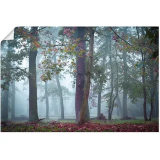 Wandbild ARTLAND "Nebel im Wald" Bilder Gr. B/H: 120 cm x 80 cm, Poster Waldbilder Querformat, 1 St., blau Kunstdrucke als Alubild, Outdoorbild, Poster, Wandaufkleber in verschied. Größen