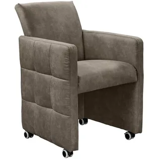 Esszimmersessel EXXPO - SOFA FASHION "Barista, Loungesessel auf Rollen mit hoher Bodenfreiheit", dolphin, B:64cm H:90cm T:72cm, Sessel, Esszimmersessel, Barista Clubsessel auf Rollen mit schmalen Armlehnen, modernes Design