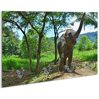Wallario Schlüsselbrett Junger Elefant im Dschungel, (inkl. Aufhängeset), 30x20cm, aus ESG-Sicherheitsglas gelb