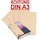 A3 80 g/m2 500 Blatt lachs