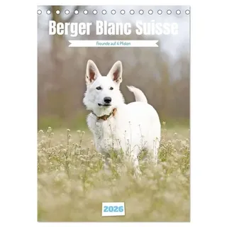 Berger Blanc Suisse - Freunde auf 4 Pfoten (Tischkalender 2026 DIN A5 hoch), CALVENDO Monatskalender