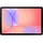 10,9" 256 GB 5G Gray