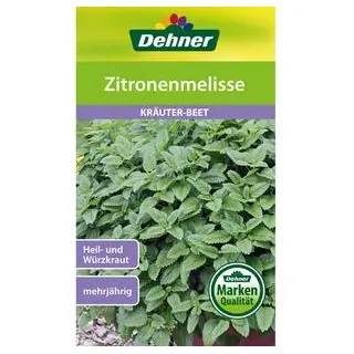 Dehner Samen Zitronenmelisse