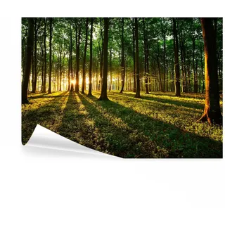 decomonkey Fototapete Wald Landschaft, 450x315 cm, XXL, Natur, Tapete | Sonnenuntergang, Wandbild, Bild, Fototapeten, Tapeten, Wandtapete