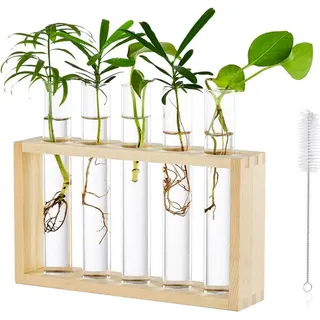 LuxusKollektion Glas Tischplatte Moderne Glas Pflanzer 5 Reagenzglas Holz Vase Hydroponik