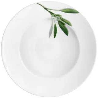 CreaTable Pastateller Salbei 27 cm 6er Set