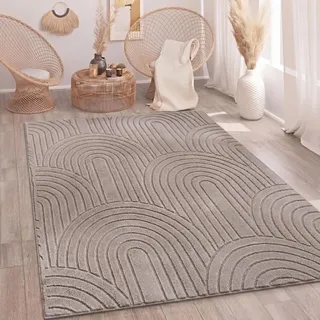 Paco Home Hochflorteppich 120 x 160 cm Taupe