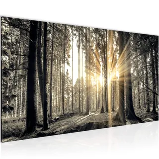 Runa Art Wandbild Wald Landschaft 1 Teilig 100 x 40 cm Modern Bild auf Vlies Leinwand Sonne Schlafzimmer Wohnzimmer Grau Braun 503812a