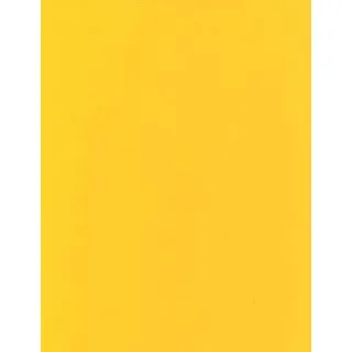 KEVKUS Wachstuch Tischdecke Meterware unifarben gelb Uni 109 (90x240 cm eckig (Biertisch XL))