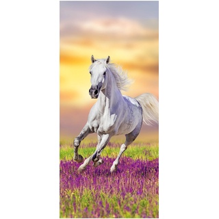 wandmotiv24 Türtapete Weißes Pferd galoppiert über Blumenwiese 90 x 200cm (B x H) - Dekorfolie selbstklebend Sticker für Türen, Türfolie, Aufkleber, M1166