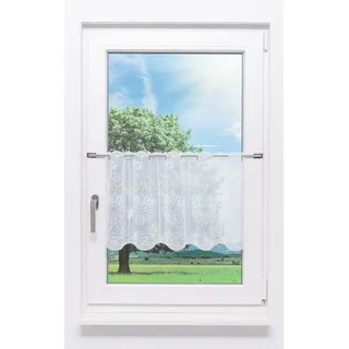 Plauener Spitze® Scheibengardine Blumenzeit (1 St), transparent, HxB 40x48.6cm weiß 48 cm x 40 cm
