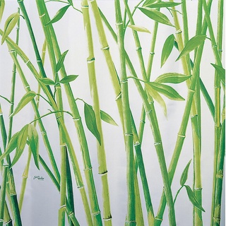 spirella, Duschvorhang, Bambus (120 x 200 cm)