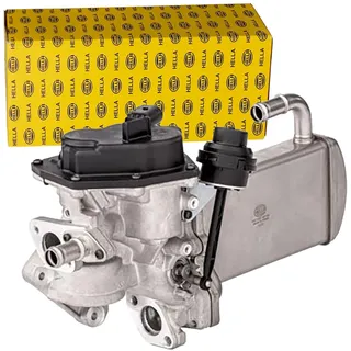 Hella 6NU 358 167-031 AGR-Modul