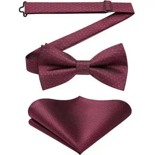 Fliege Herren Vorgebunden Hochzeit Anzug Einstecktuch Bordeaux