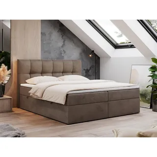 MKS Meble Boxspringbett 160 x 200 cm H3 Braun