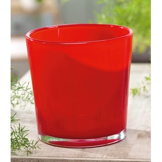 Hakbijl Glas-Übertopf ø 19 cm rot,1 Stück
