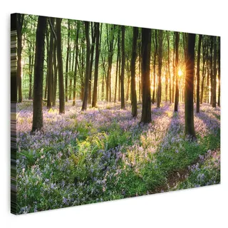 MuchoWow© Leinwand Groß XXL Deko Schlafzimmer Aesthetic Leinwandbilder | 120x80 cm - Wohnzimmer Gemälde Foto Geschenk Living Room Decoration Wandbild Wald - Natur - Blumen - Sonne - Baum - Lila