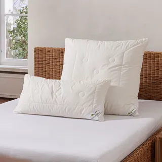 Traumschlaf Merino Zirben Kopfkissen 50x70 cm - weiß