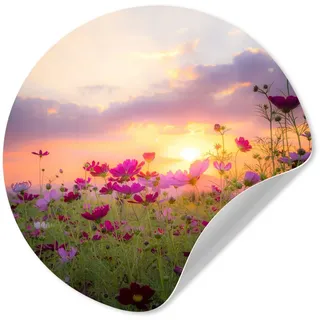 MuchoWow Wandsticker Blumen - Rosa - Sonnenuntergang - Natur - Wiese - Horizont (1 St), Selbstklebende Runde Vliestapete, Wohnzimmer, 140x140 cm bunt 140 cm x 140 cm x 0.1 cm