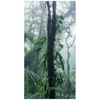 Duschrückwand - Monteverde Nebelwald, Material:Hartfolie Premium Glanz 0.61 mm, Größe HxB:1-teilig 200x100 cm